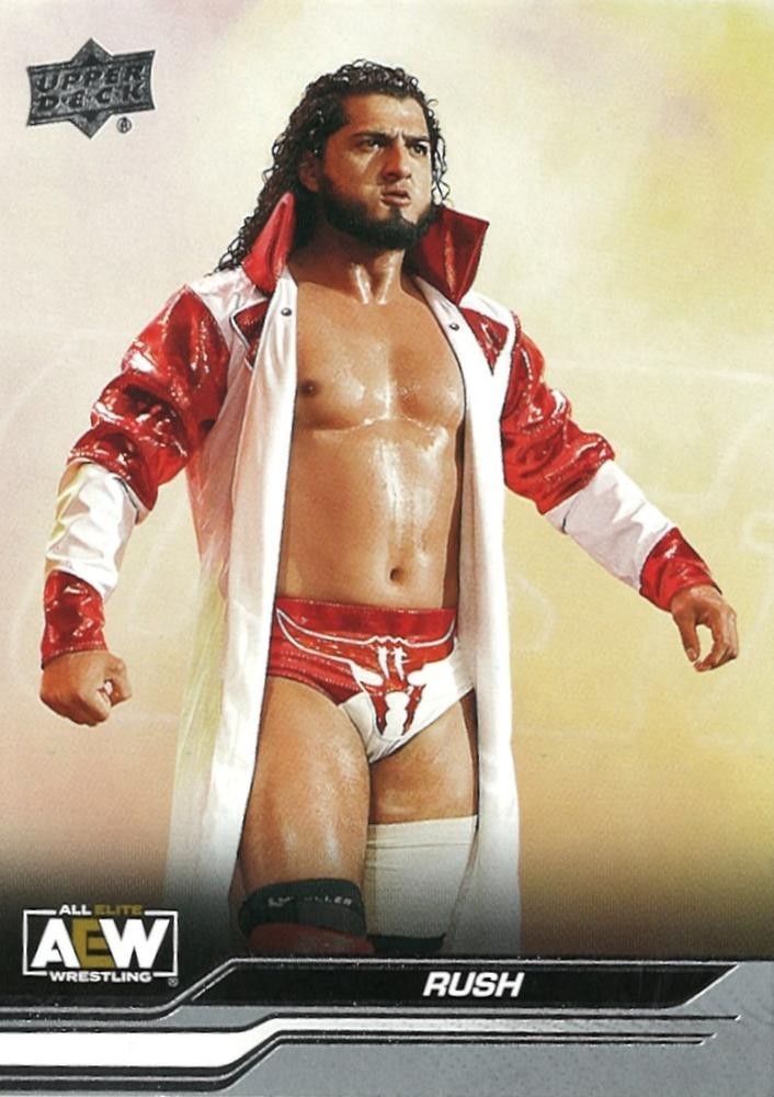 2024 Upper Deck AEW Base (1-50) Pick Your Card Complete Your Set WWE NXT