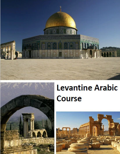 Learn Arabic Fast- The Most Complete & Comprehensive Language Course on USB - Image 4 of 4
