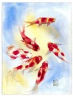 Foto 4 di 4