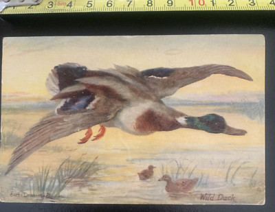 RAPHAEL TUCKS BRITISH GAME BIRDS 9524 DRUMMOND OILETTE GEORGE (V) FRANKIERT 1943