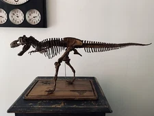 Dinosaur / T-Rex Tyrannosaurus Rex Skeleton 95 Cm Laser Engraved Wooden Base