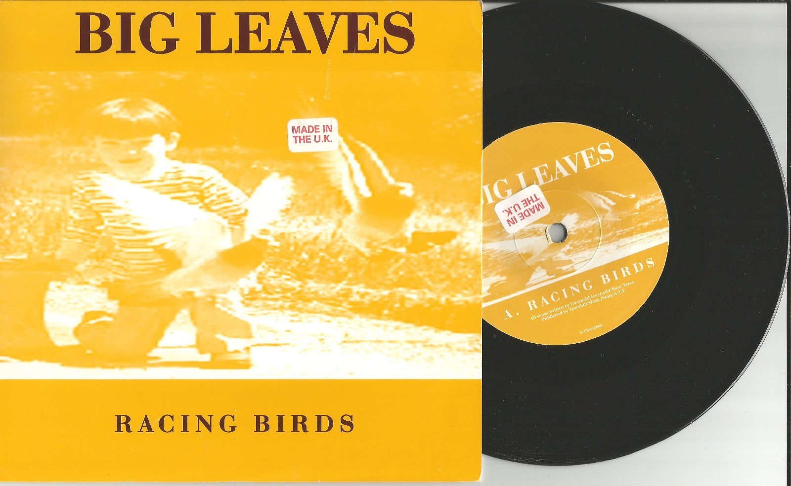 BIG LEAVES Racing Birds w/ UNRELEASED TRK UK 7 INCH Vinyl USA SELLER MINT 2009