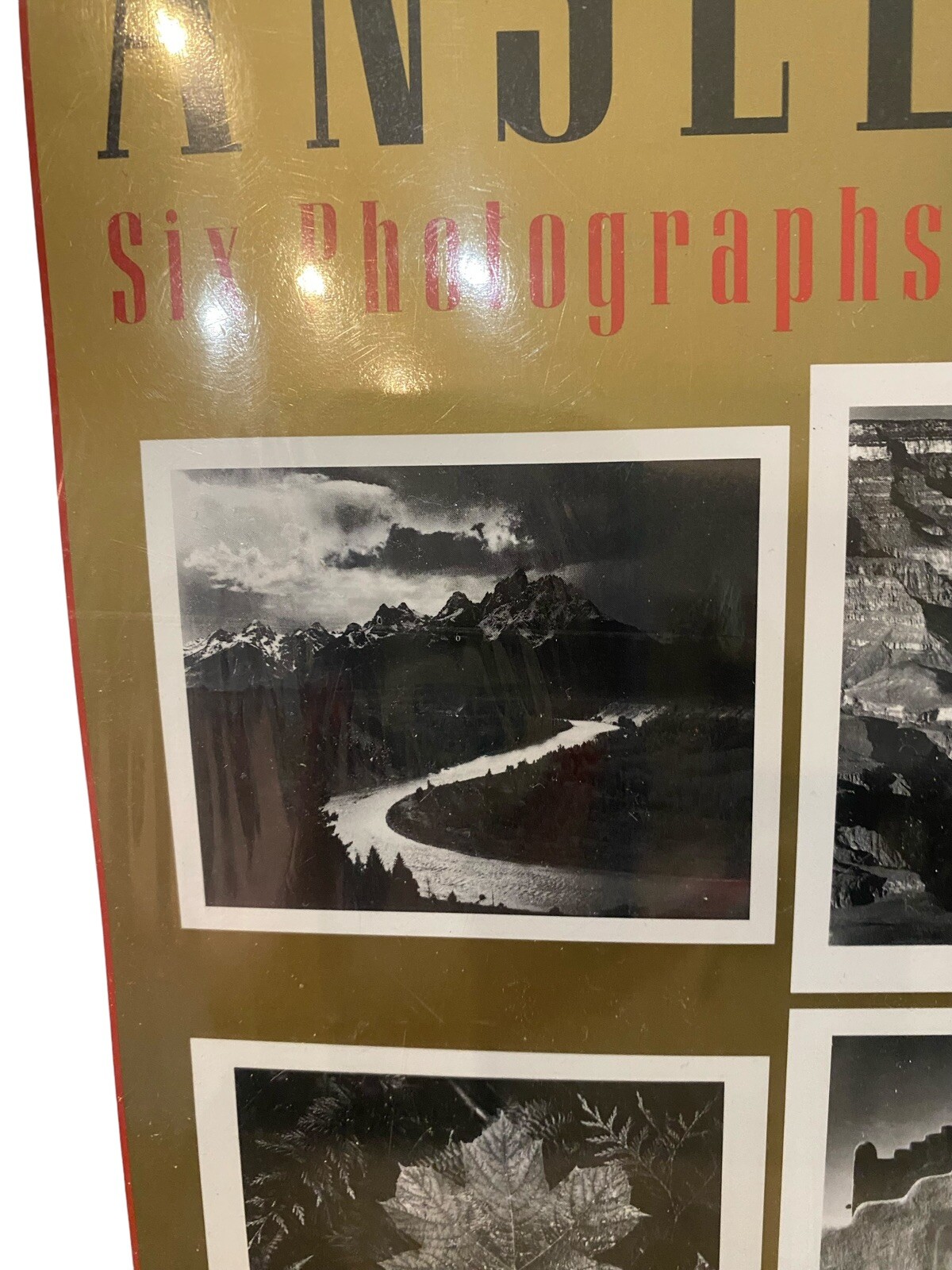 Picture 8 of 9