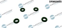 Dr.Motor Automotive DRM0565S Dichtring, DüSenträGer FüR Ford, Jaguar