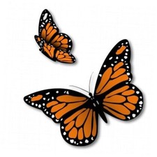 Monarch Butterflies Set of 2 Vinyl Sticker - Car Window Bumper B Regular: 6"