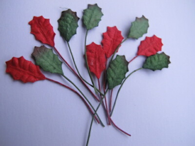 40 Miniatur ROT & GRÜN Blätter Stechpalme Weihnachtsstern Drahtstamm Maulbeerpapier H1RG
