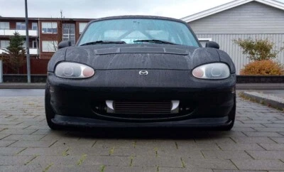 Creepy Halloween Teeth Fangs For Car Grill Spooky Great Gift Idea 3D Printed.