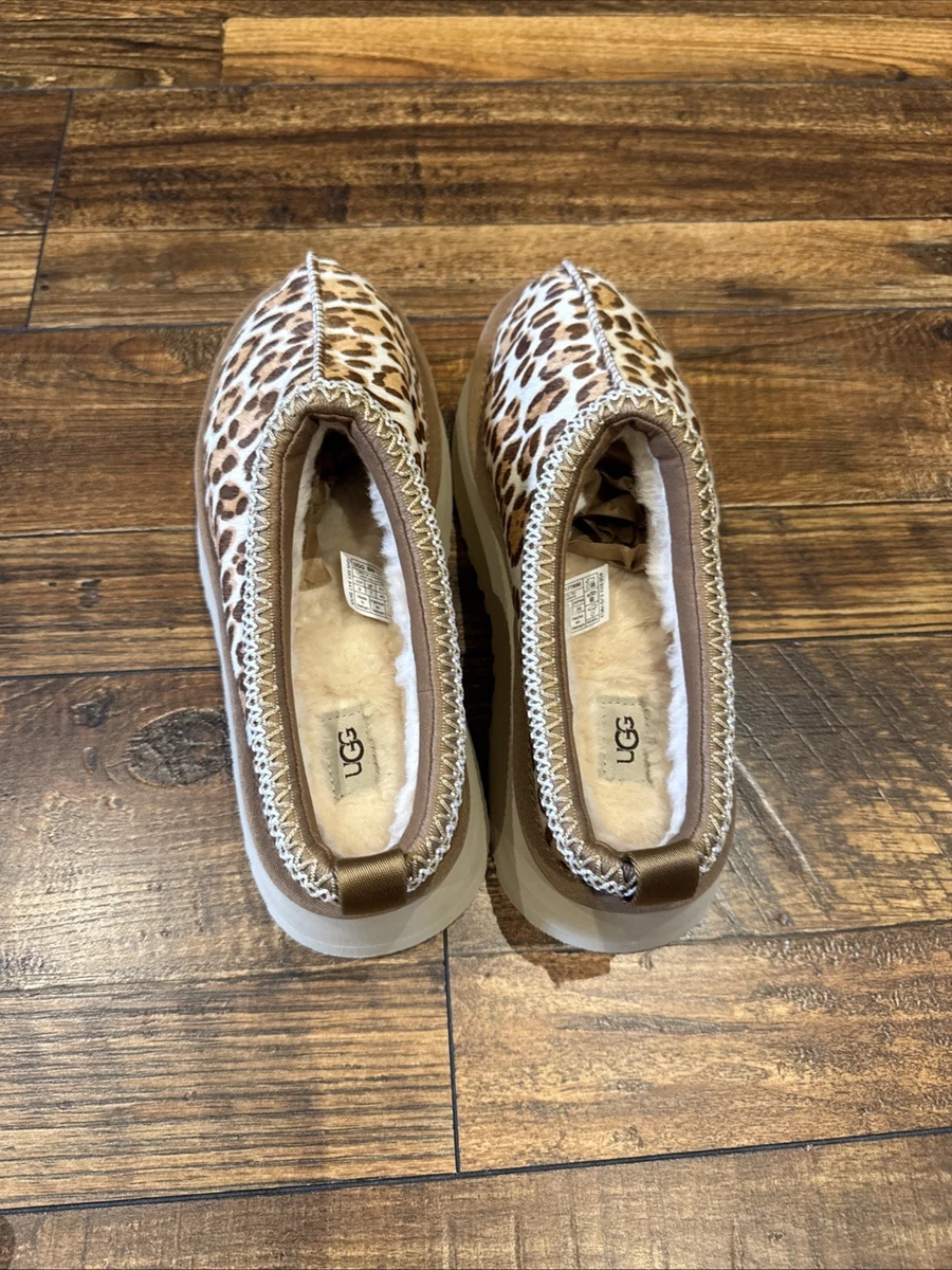 Ugg Tazz Plains Leopard Print/Cheetah Print Uggs Size 7 in Women’s