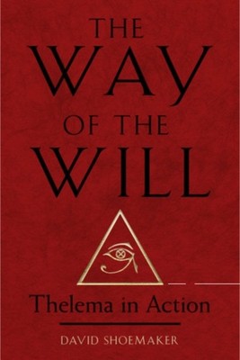 WAY OF THE WILL by SHOEMAKER, DAVID Paperback Self Help Business