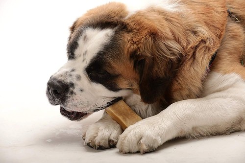 Super Himalayan Dog Chew Yaky Treat,Hard Cheese Long Lasting Natural Organic - Picture 4 of 76