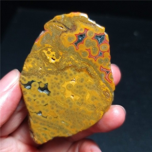 Rare 23G Natural Orbicular Ocean Jasper Rough Stone Healing Madagascar QT60 - Picture 10 of 16