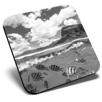 Square Single Coaster BW - Unterwasserhöhle Tauchen Diver Dive #43690