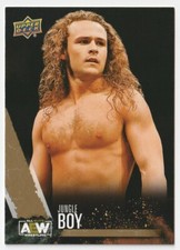 2021 Upper Deck AEW Gold #23 Jungle Boy