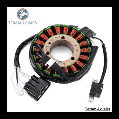 Stator Lichtmaschine für Yamaha RS Viking Professional VK 10 à partir de 2010