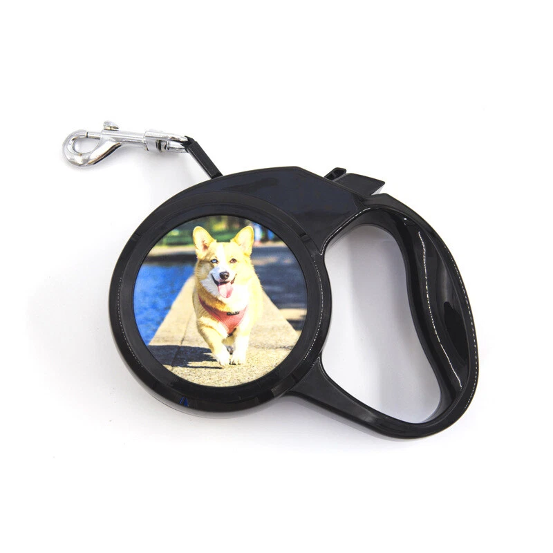 Diy retractable cheap dog leash