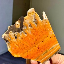 92G Natural Bumblebee Ocean Jasper Quartz Crystal Specimen Healing