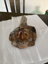 Black Forest Folk Art Hand Carved Spirit Tree Old Man's Face Branch Wall Hanging