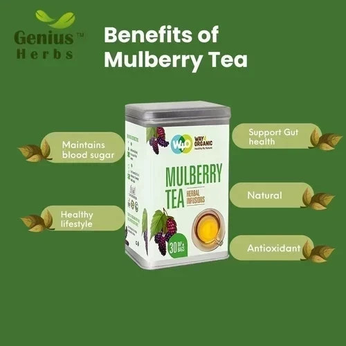 WAY 4 ORGANIC W4O Mulberry Tea in Dip 30TB 100G