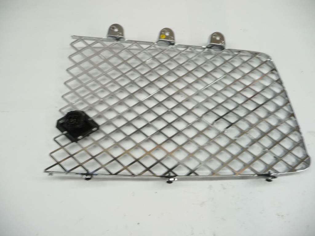 2020 Bentley Continental GT Front Left Driver Grille Mesh Chrome 3SD853683A OEM