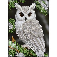 5D Diamond Art Pearl Painting Kits for Adults,Special Shape Owl