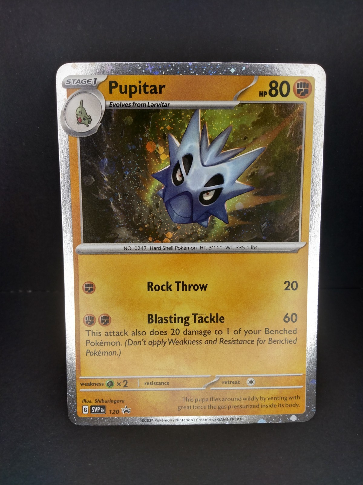 Pokemon TCG Promo : Choose Your Card