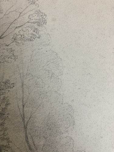 Grand Dessin XIXe 1850 crayon Jardin Tour Romantisme Arbre Ancien A Identifier - Photo 6/9