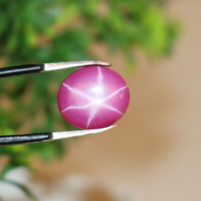 Natural Ring Size Star Ruby 11 Ct. 6 Rays Oval Shape Stone Certified STR-462