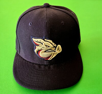 ironpigs fitted hat