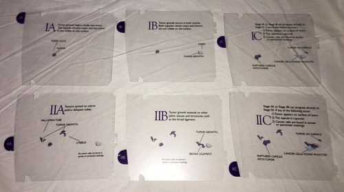 OVARIAN CANCER 3-D MODEL Female Uterus Vagina Cervix Anatomical Teaching OB GYN - Picture 5 of 6