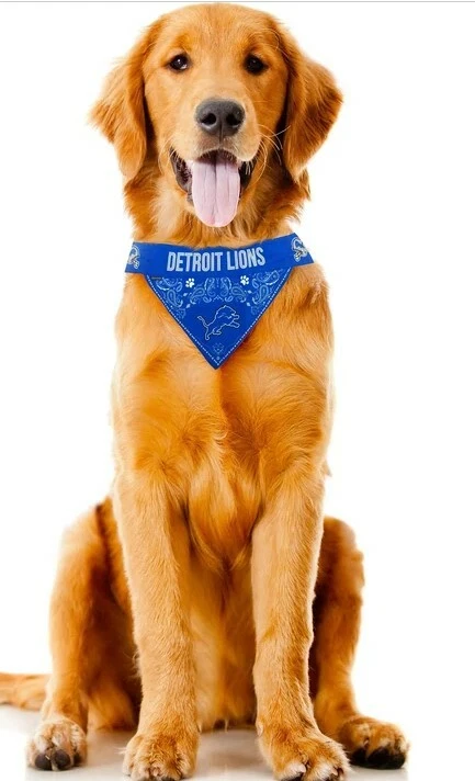 Detroit lions dog shop bandana