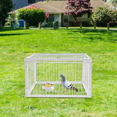 4 Doors Pigeon Trap Cage Humane Capture Trap For Pigeons & Birds Escape Proof