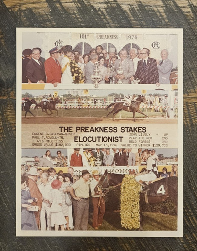Original 1976 Preakness Stakes Winner's Collage Photo - Elocutionist