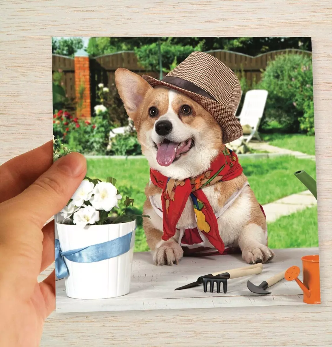 Corgi Birthday Card Pembroke Welsh Corgi suit Mum Dad Grandad Nan