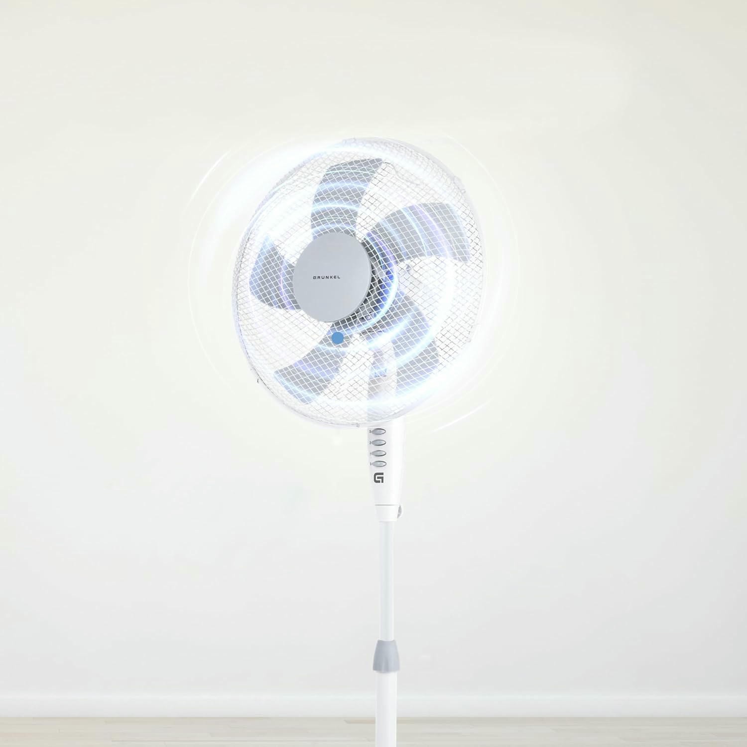 Foto 7 di 12
