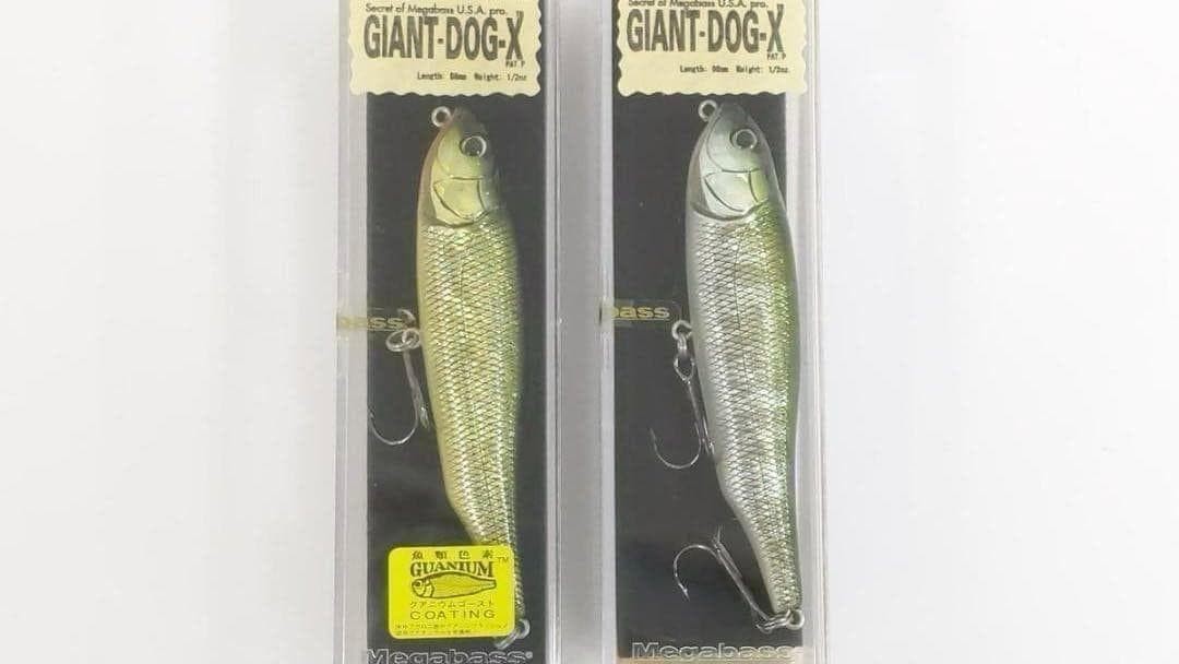 Megabass Giant Dog X 12pcs Set Fishing Lure Unused Topwater Baits - Image 8