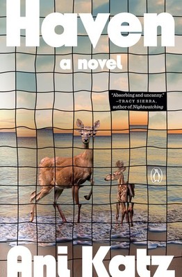 Haven: A Novel