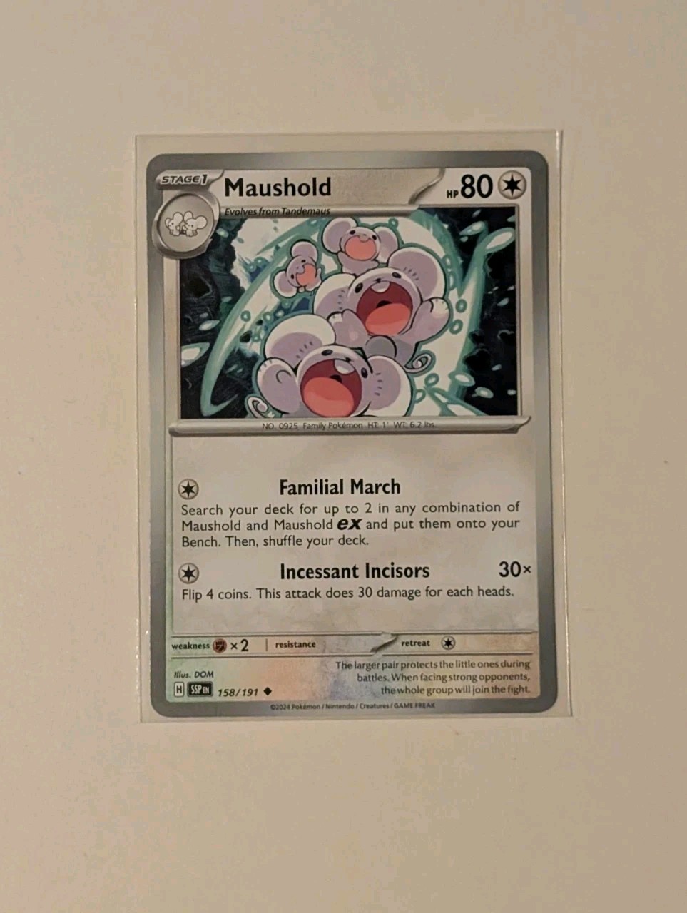 Maushold 158/191 Pokemon SV: Surging Sparks
