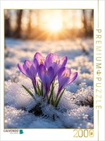 Calvendo Puzzle Crocuses In The Winter Sunlight | 2000 Pieces, Finished Size 35.