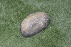 Bild 77 von 116