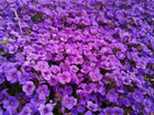 Bild 2 von 4