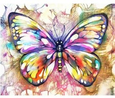 Paint By Numbers Kit Colorful Butterfly 40CMx50CM Canvas