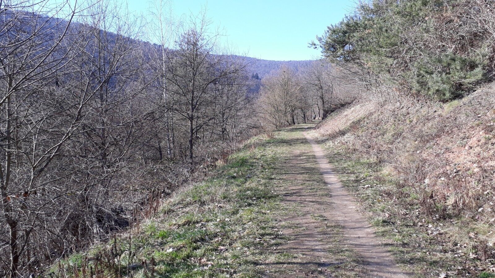 Bild 12 von 12