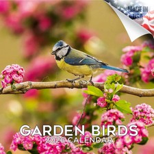 Garden Birds Wall Calendar 2026 Birdwatching Backyard Birding PET Lover Gift