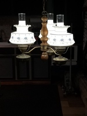 Quoizel Abigail Adams Glass Blue Floral Blue Poppy Hanging Swag Chandelier Light
