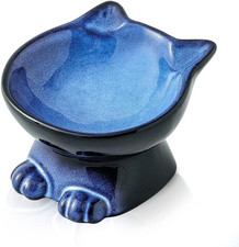 Nihow Slanted Elevated Cat Bowls: 5 Inch Ceramic Raised Cat Food Bowl for Protec
