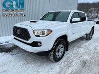 2020 Toyota Tacoma