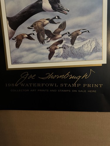 Point of Sale Poster 1986 1st Of State Montana Duck Print Joe Thornbrugh - Picture 3 of 5