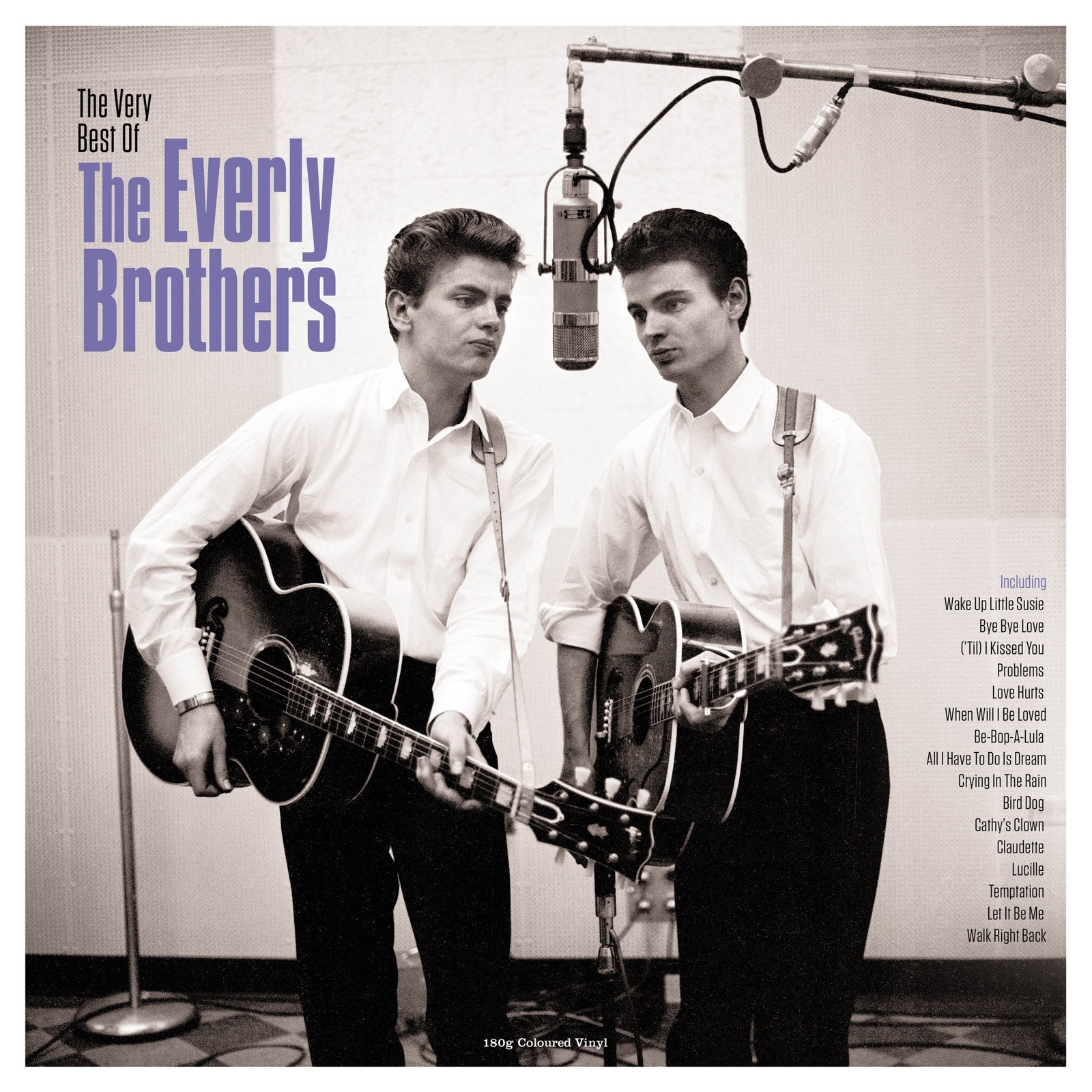 The Everly Brothers The Very Best of the Everly Brothers (Vinyl LP) 12" Album