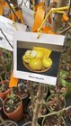 Foto 4 di 4
