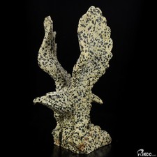 8.5" Dalmatine Hand Carved Crystal Eagle Sculpture, Crystal Healing